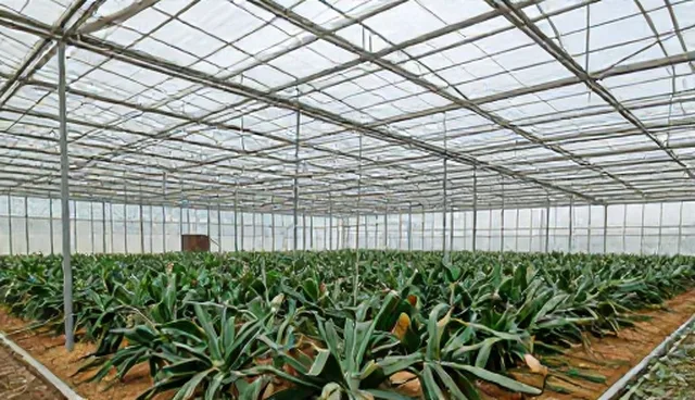 农资供应如何保障种植效率?性能与适用条件分析