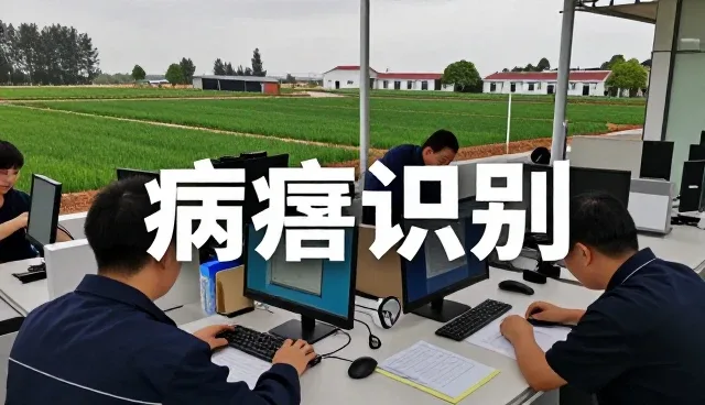 农资供应选型中的关键考量因素分析